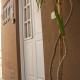 Natullins Apartment, Ezeiza (photo 6)