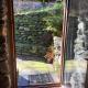 Rustico Gin Avegno Torbecc, Vallemaggia, Tessin,, Gordevio (fotografie 3)