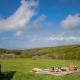 Bligh - Treworgie Barton Cottages, Bude - Fotografie 4