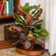 Clodia 5 by Rental in Rome, Roma - Foto 9