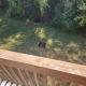 2BR Cozy Condo - Centrally Located - Stairs Required - FREE TICKETS INCLUDED - FC5-7, Branson (foto 9)