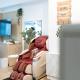 Eastwood LeGrand 3 with Ogawa MasterdrivePlus, No Pets Allowed, Manila - Fotografie 3
