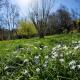 White Hill Lodge - rustic cabin set in a stunning meadow, Sevenoaks (fotografie 6)