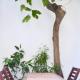 Fig Tree Patio Exarcheia, Athens - Photo 3