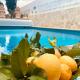 Authentic Canary Style Villa with private pool and garden- Casa Juan Vera, Granadilla de Abona
