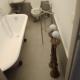Hostapartment SUITE UP, Roma - Foto 8