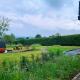Terrier Ovifat - logement familial Nature et Sauna
