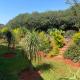 Imoflo Homestay, Haenertsburg (photo 7)