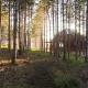 The Forest Sea Dome, Varna (fotografie 5)