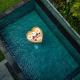 Sawitri Anandhita Luxury Villas Ubud - Photo 8