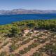 Holiday Home Ducac