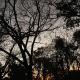 VILLA Broa Pé de Serra Goiás, Jaraguá - 写真 6