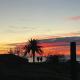 Falcon Crest, Puntagorda (fotografie 4)