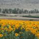 Mikiway סוויטה פנורמית בגלבוע, Bet HaShitta (photo 3)