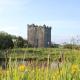 Smithstown Castle, Kilshanny