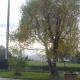 La Roseraie, Loucrup (Foto 3)