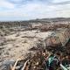 Cotton Shore, Inverallochy (fotografie 4)