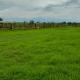 Camping ACERVO KM 629, Andradina - Foto 7