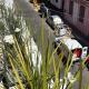 Enchanting townhouse loft in heart of San Telmo, Buenos Aires - Foto 7