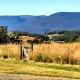 Wakefields - an enchanting mountain view cottage Mole Creek - Fotografie 7