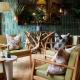 Burnham Beeches Hotel & Spa, Slough (fotografie 6)