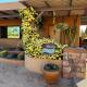 Serene & Secluded - Heart of the Sonoran Desert Bunkhouse Casita Scottsdale - Foto 7