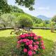 Apartment Corsonna by Interhome, Barga (photo 3)