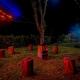 Spies Munnar Camping, Chinnakanal - 写真 2