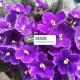 Mayoorvihar home stay Sulthaan Bathery Wayanad Kerala, スルタン・バザリー - 写真 1