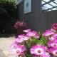 Oak Tree Lodge & Holiday Parking, Burstow (fotografie 2)