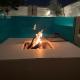 Luxurious Villa 5BHK with Pool BBQ and Full Time Housemaid Assistance - live in, Dubaï - Photo 4