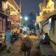 Gopi Guest House, Hampi - Kuva 7