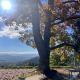 Quinta da Hortigueira - Country House, Trancoso (foto 5)