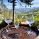 Quinta da Hortigueira - Country House, Trancoso (foto 3)