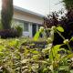 The Bougainvillea cottage farmstay near Dehradun , 2 bedroom private cottage next to fields and orchards with hill views, Dehradun - Foto 5