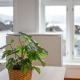 New Sandviken Apartment with Stunning view, Bergen - Fotografie 10