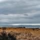 Oceans3 - Spectacular View 'N' Jetty Access, Ocean Shores (photo 2)