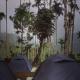 Tropical camping, Wayanad - Fotografie 8