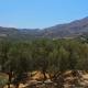 Mulberry Hill - amazing panoramic views - Kissamos, Kissamos - Fotografie 7