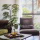 Low Maintenance Living in Perfect BoxHill Location, Box Hill