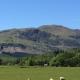 Leny Estate, Callander (fotografie 5)