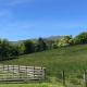 Leny Estate, Callander (fotografie 6)