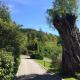 Leny Estate, Callander (fotografie 9)