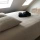 Duplex LOUIS Horbourg - Foto 6