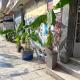 Y House, Athen - Foto 3