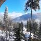 Vila Felix, Sinaia - Foto 5