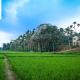 Cofygram cottages, Wayanad - Zdjęcie 6