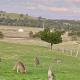 The Lancefield cottage - relax, revive and renew, Springfield (фото 3)