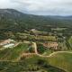 Tenuta Paltusa, Calangianus (photo 5)