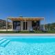 Elegant House with Private Pool, Schinias